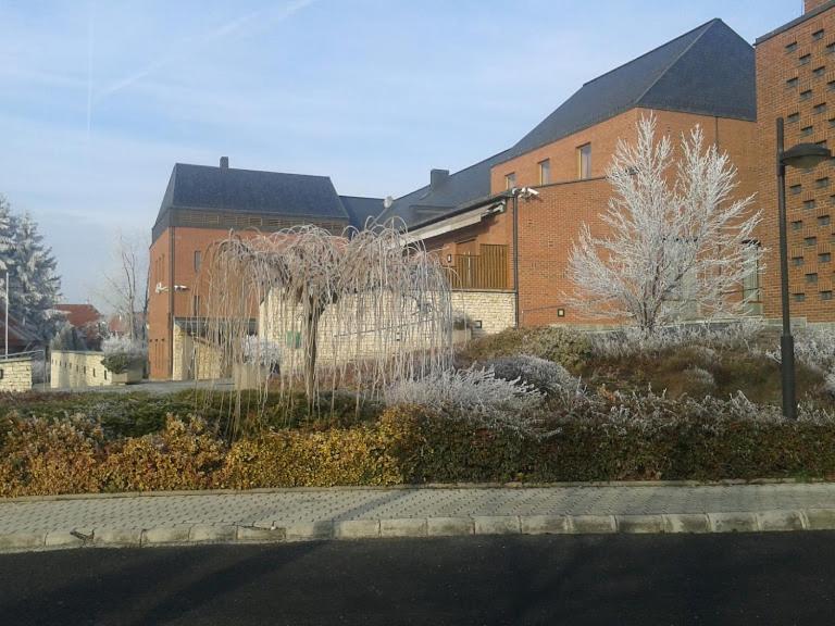 Park Vendégház Herend Exterior foto