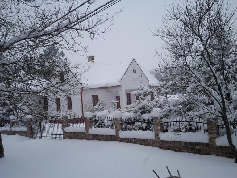 Park Vendégház Herend Exterior foto
