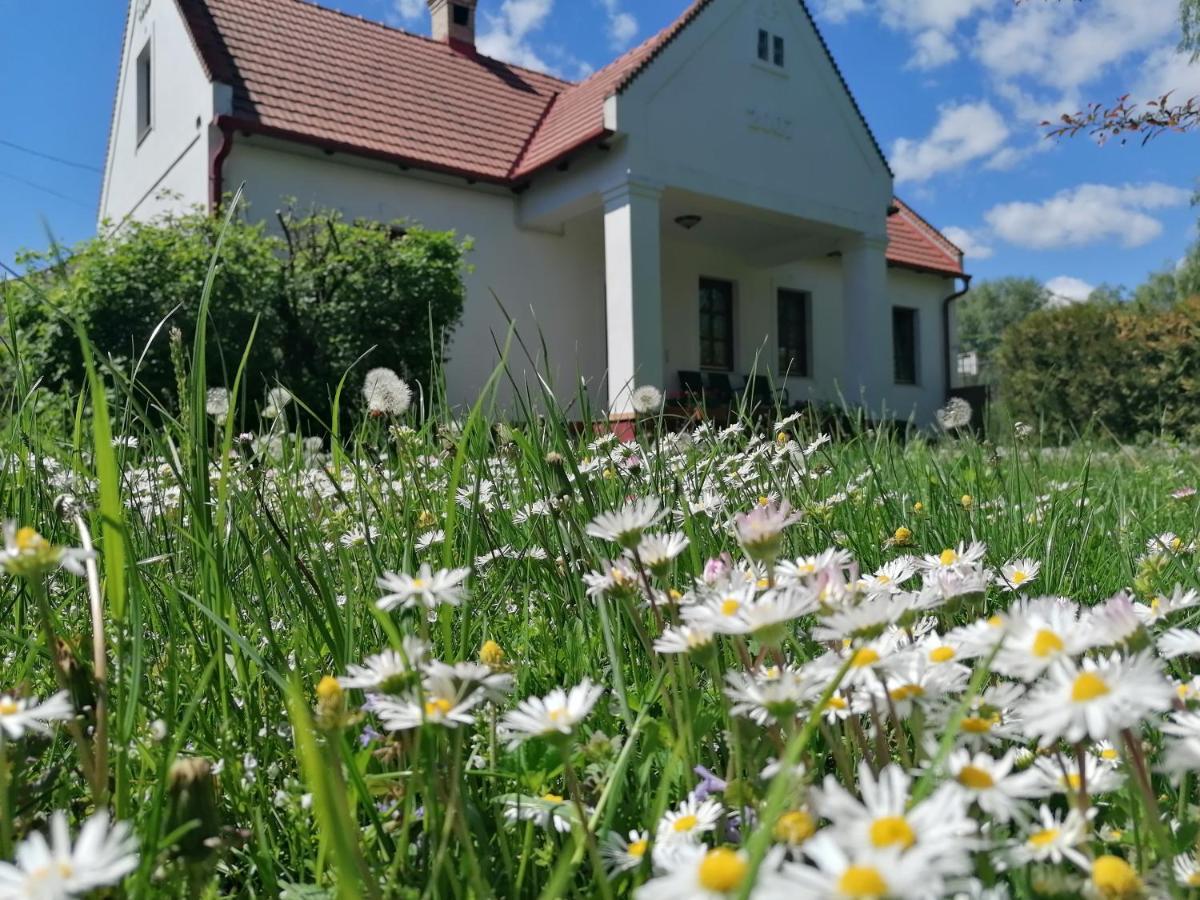 Park Vendégház Herend Exterior foto